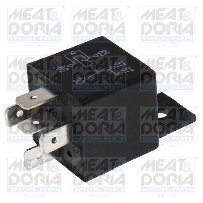 Multifunctional Relay